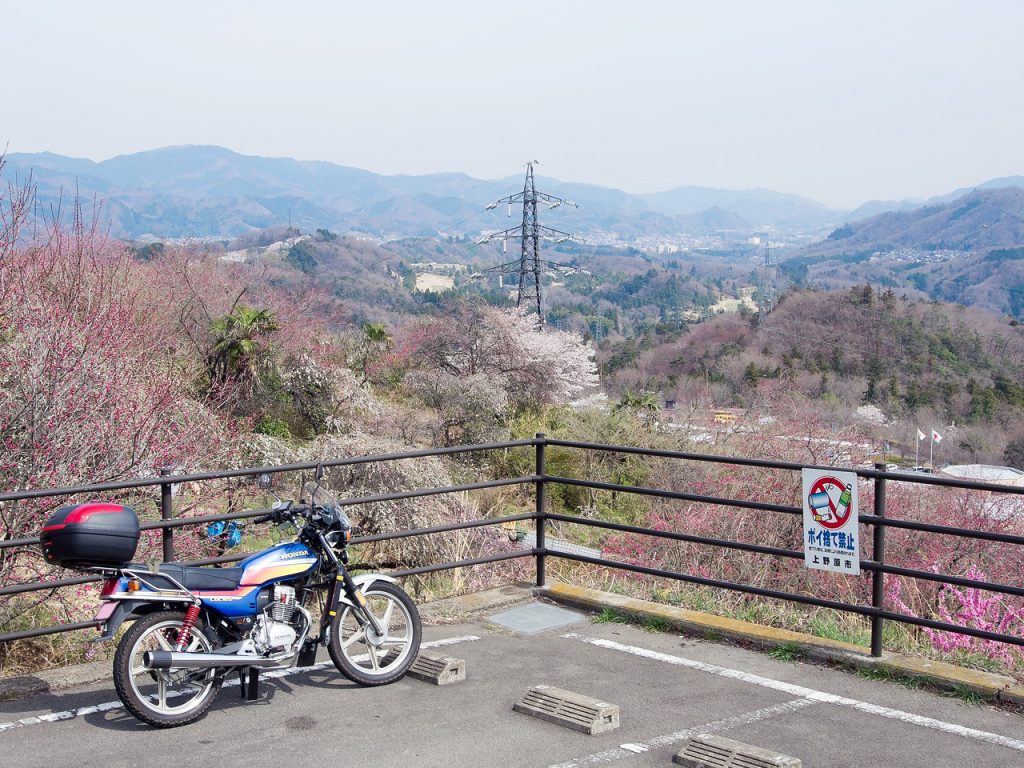 上野原の大野展望台からの眺めと桜