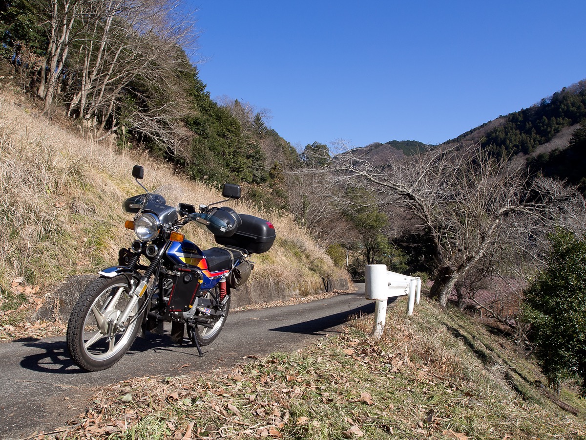 神奈川最北部のとある林道