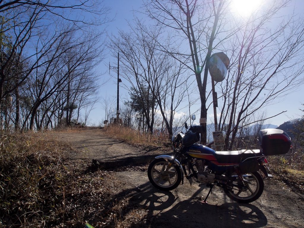 いつもの神奈川最北部のとある林道