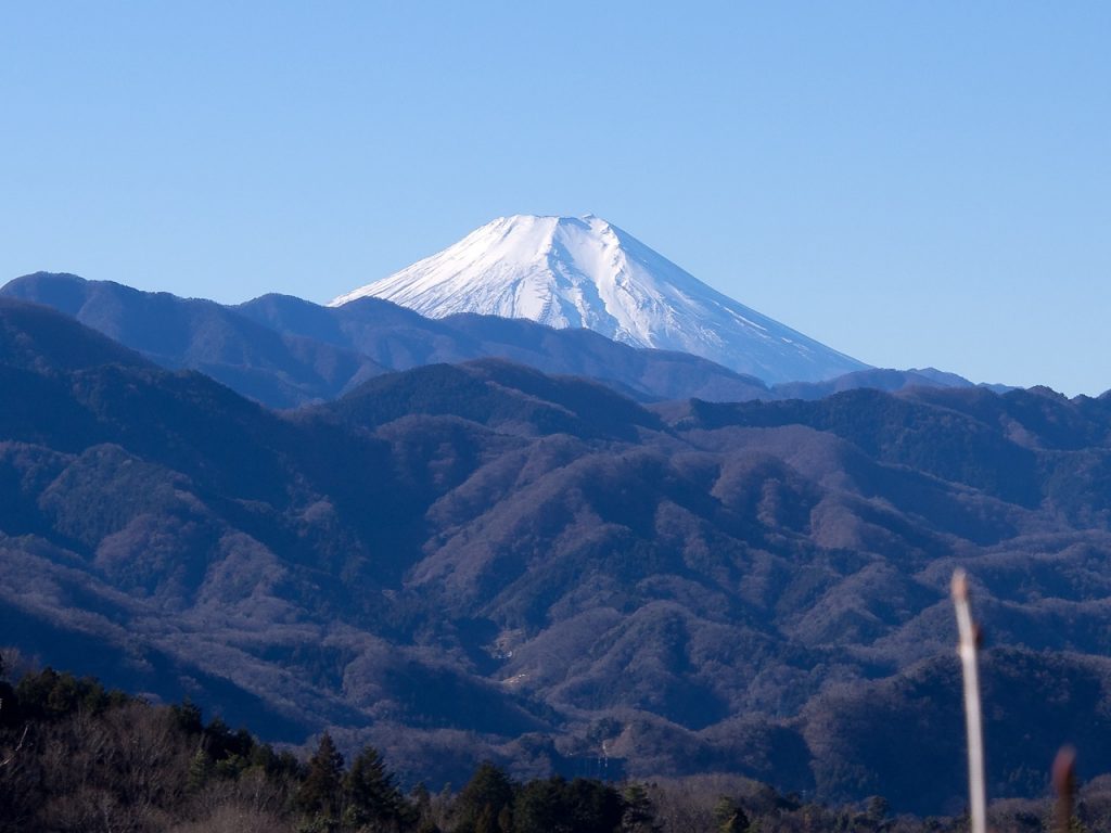 倉子峠下の林道から見える富士山_20241229